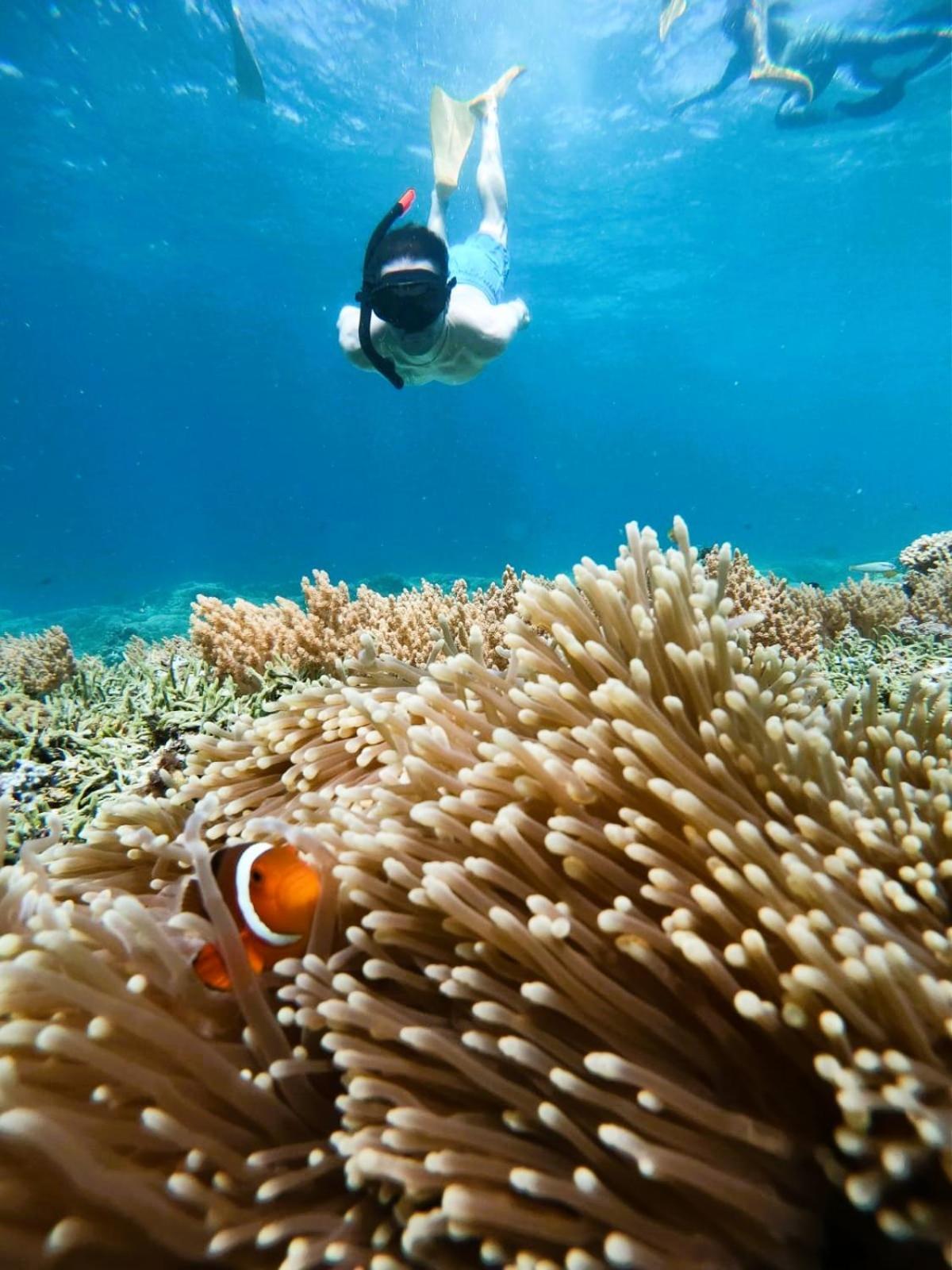 Gili Mesari Cottages & Homestay Джили Трауанган Екстериор снимка