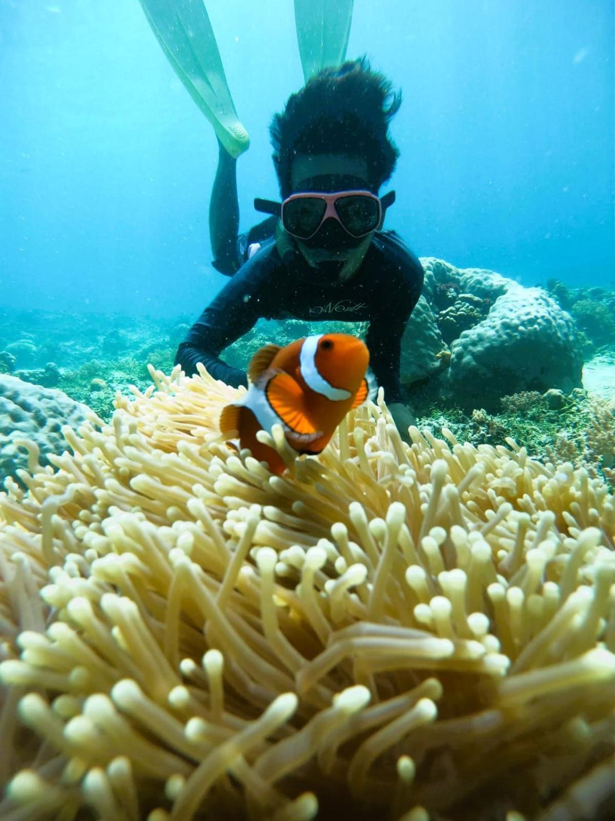 Gili Mesari Cottages & Homestay Джили Трауанган Екстериор снимка