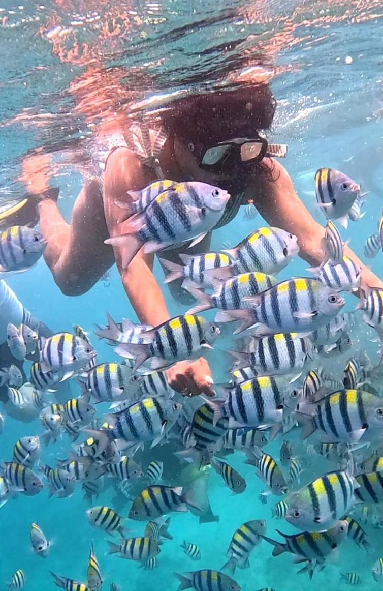 Gili Mesari Cottages & Homestay Джили Трауанган Екстериор снимка