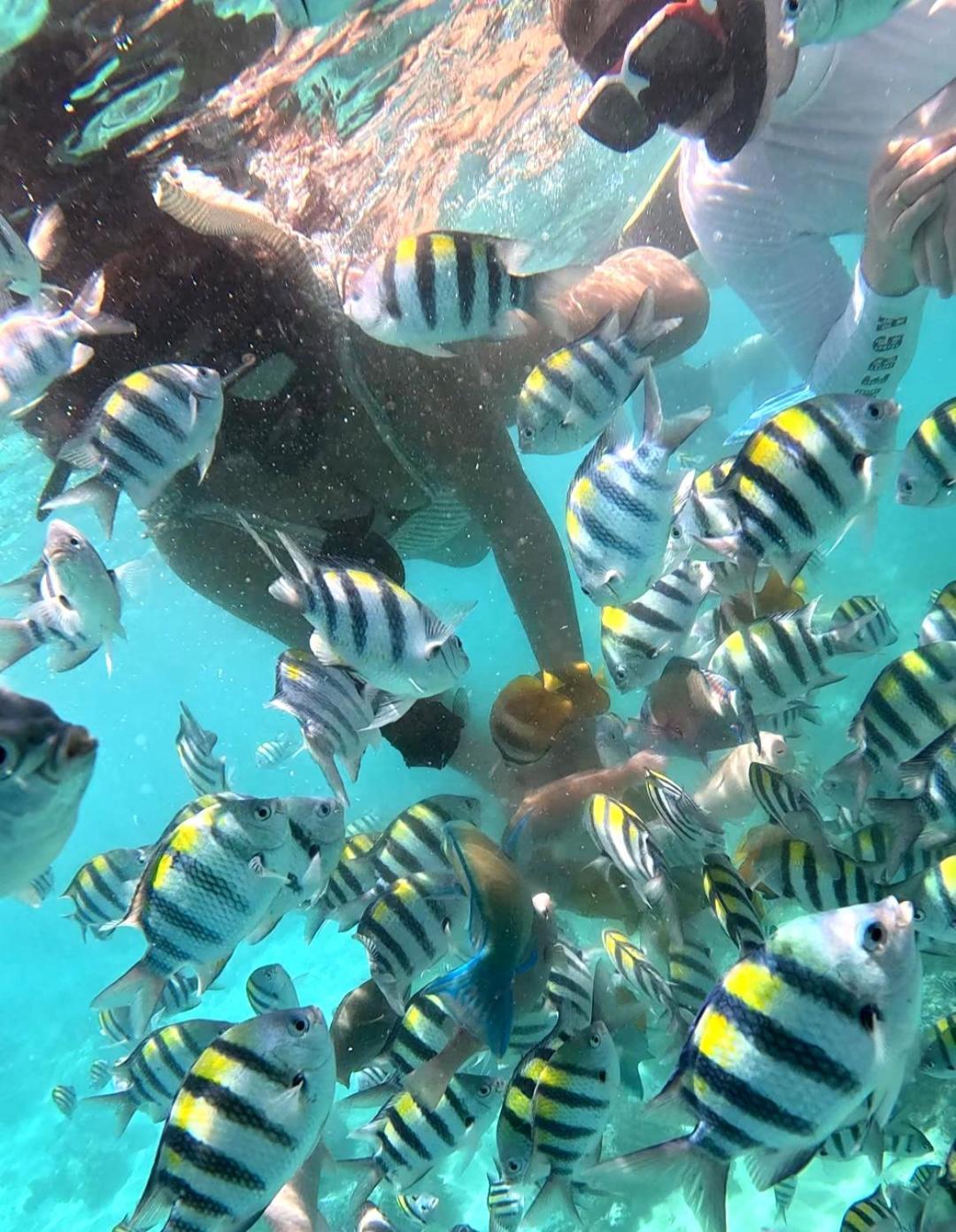 Gili Mesari Cottages & Homestay Джили Трауанган Екстериор снимка